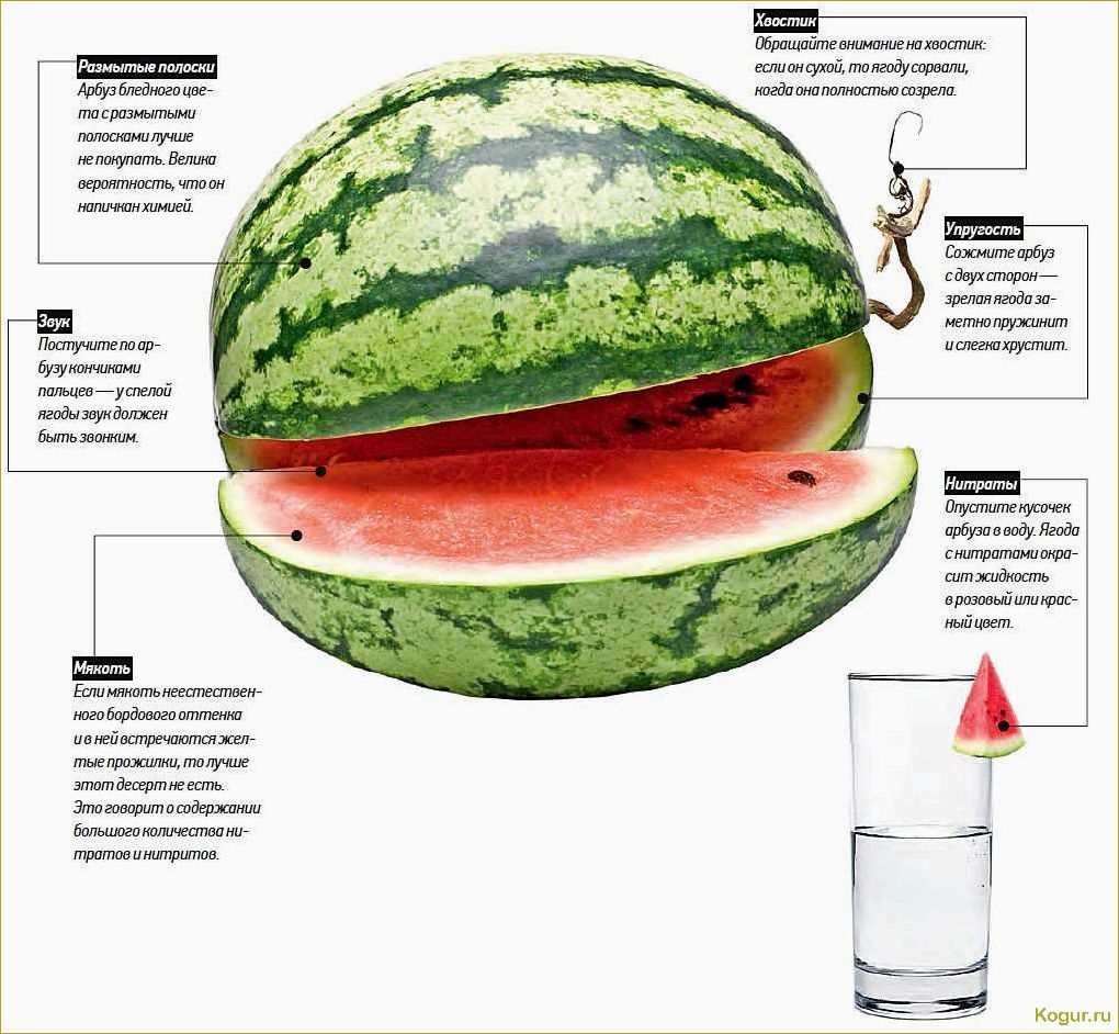 (выбрать, арбуз, нитратов, магазине) Как выбрать арбуз без нитратов в магазине