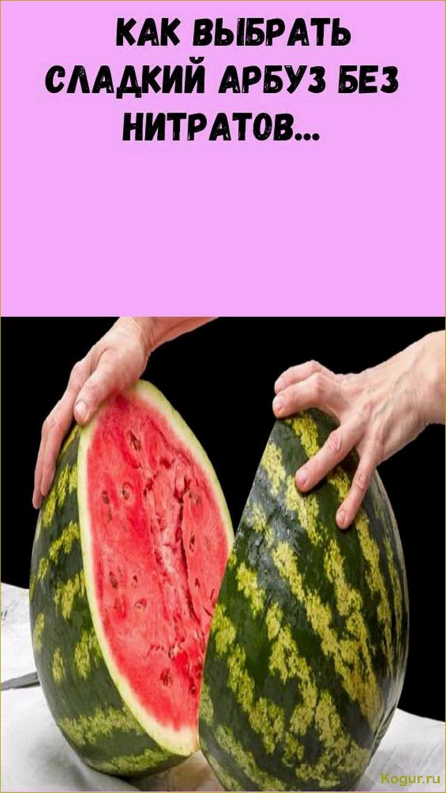 (выбрать, арбуз, нитратов, магазине) Как выбрать арбуз без нитратов в магазине