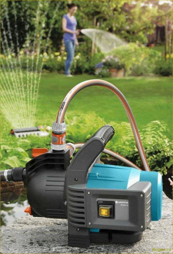 (выбрать, насос, огорода, правильно) Как выбрать насос для огорода правильно?