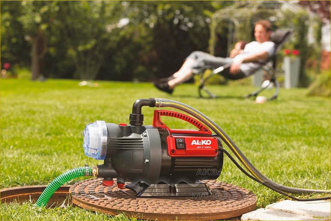 (выбрать, насос, огорода, правильно) Как выбрать насос для огорода правильно?