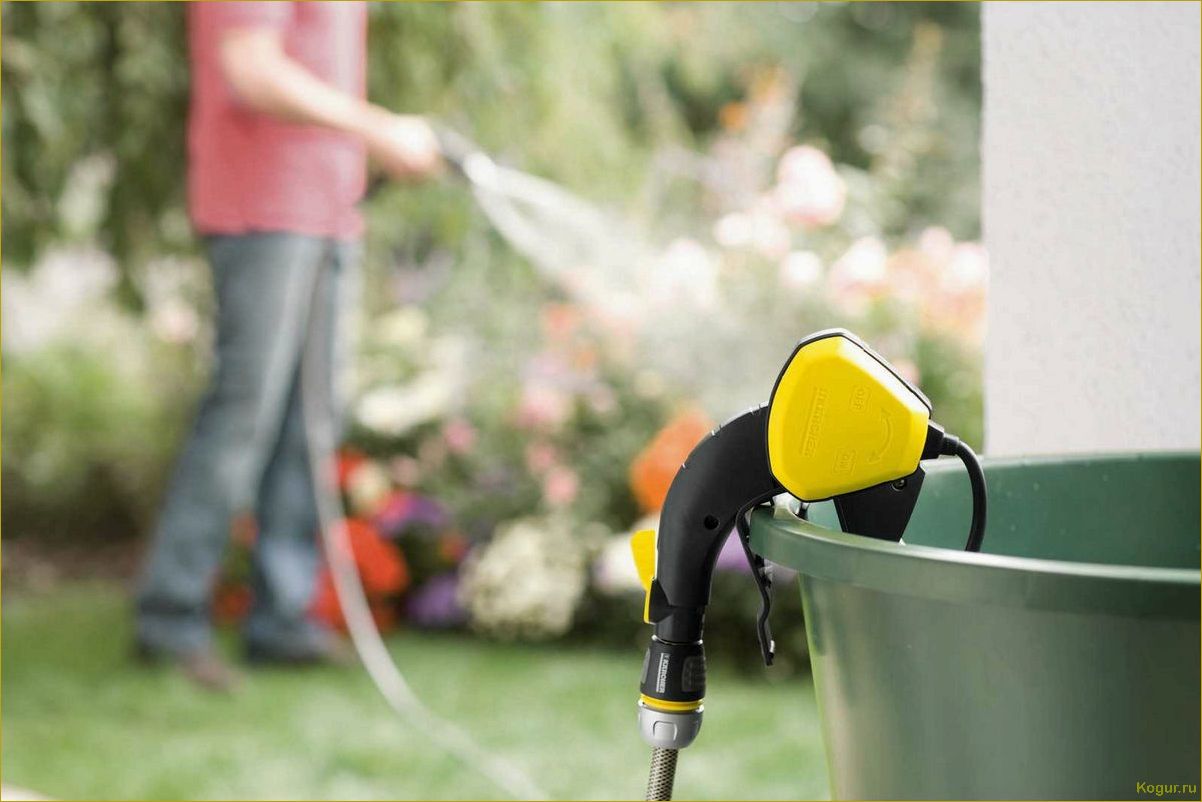 (выбрать, насос, огорода, правильно) Как выбрать насос для огорода правильно?