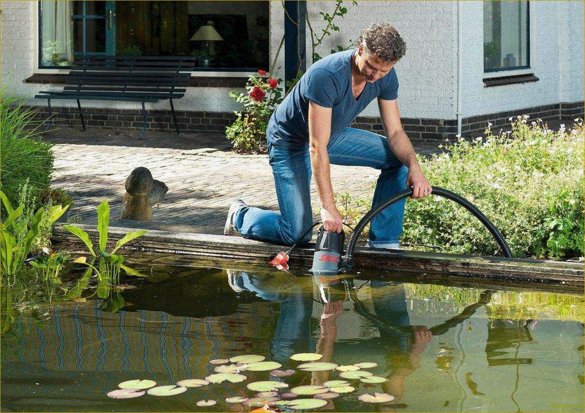 (выбрать, насос, огорода, правильно) Как выбрать насос для огорода правильно?