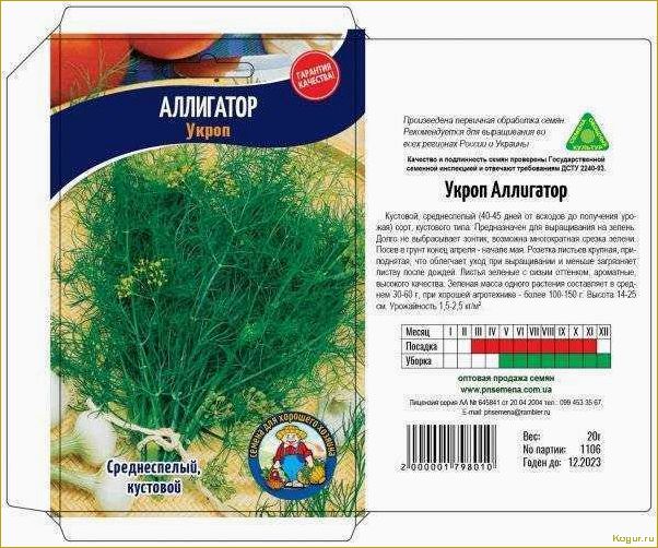 Кустовой укроп: секреты успешного выращивания