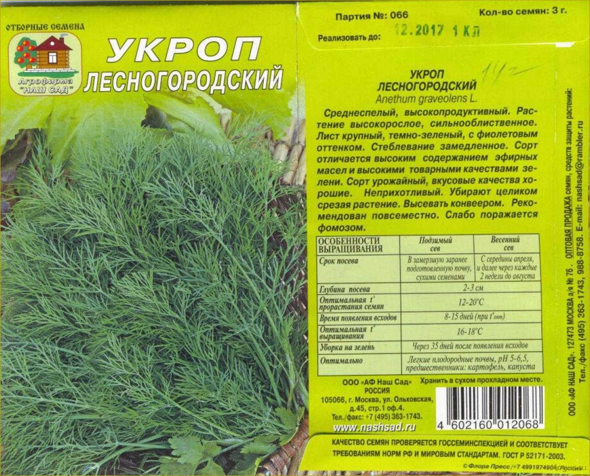 Кустовой укроп: секреты успешного выращивания