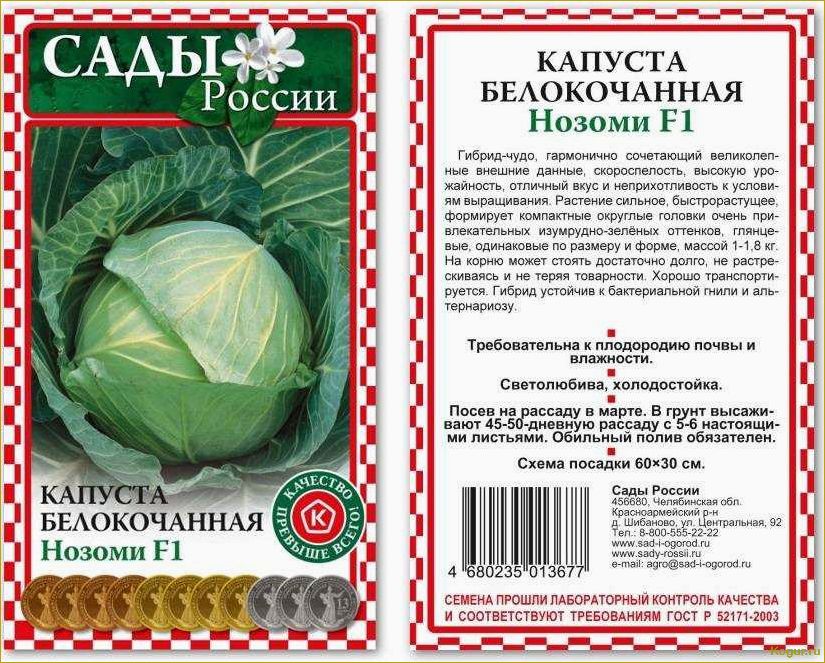 Советы по выращиванию белокочанной капусты сорта Мегатон на грядке на даче