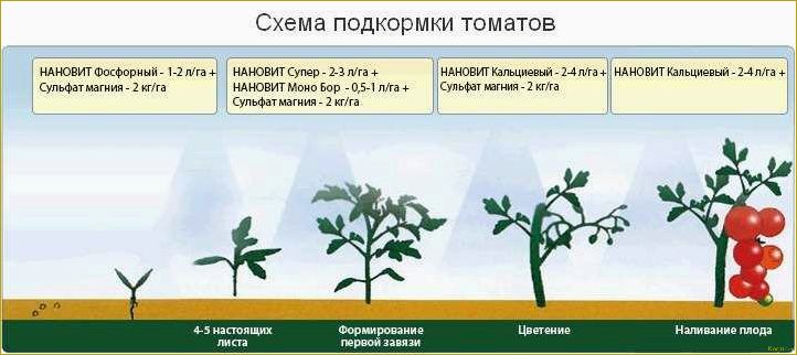 (вырастить, хорошую, рассаду, помидор, домашних) Как вырастить хорошую рассаду помидор в домашних условиях?