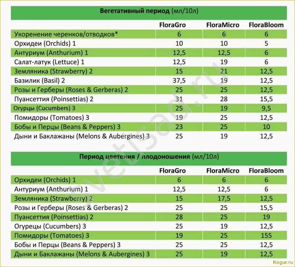 Советы и рекомендации по выращиванию помидоров на гидропонике: подробная инструкция