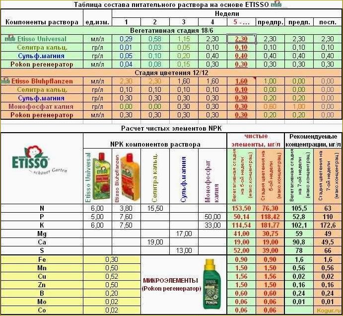 Советы и рекомендации по выращиванию помидоров на гидропонике: подробная инструкция