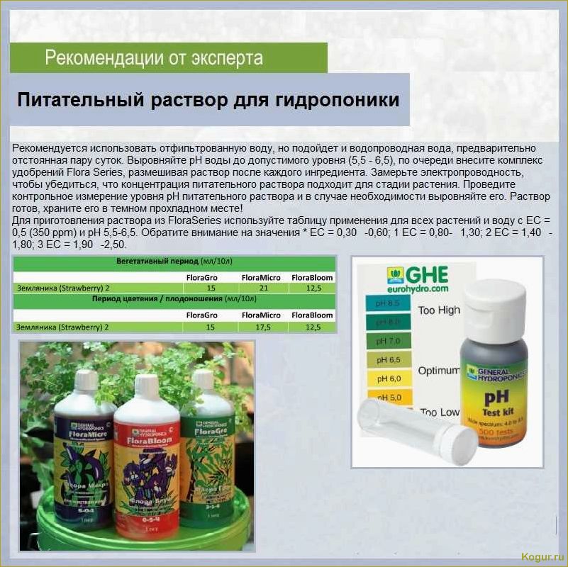 Советы и рекомендации по выращиванию помидоров на гидропонике: подробная инструкция