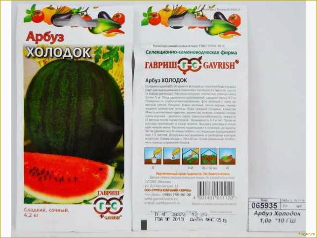 (вырастить, сладкий, арбуз, сорта, холодок) Как вырастить сладкий арбуз сорта Холодок на даче