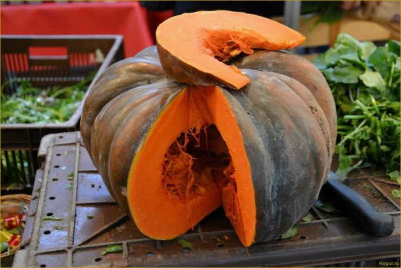 Как вырастить сочную сладкую тыкву на своем участке?