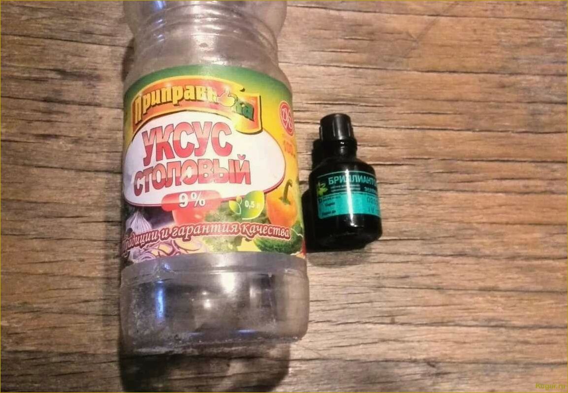 (избавиться, крапивы, участке, эффективные, советы) Как избавиться от крапивы на участке — эффективные советы и методы