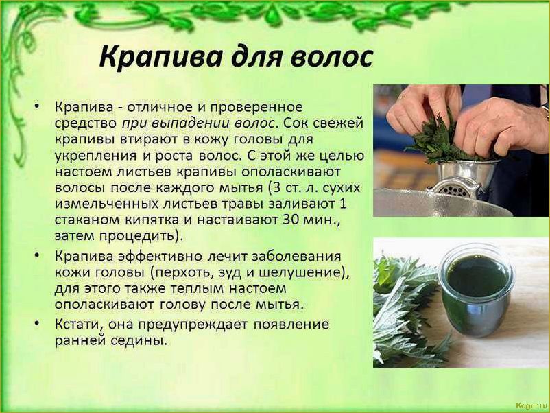 (избавиться, крапивы, участке, эффективные, советы) Как избавиться от крапивы на участке — эффективные советы и методы