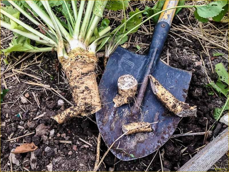 (избавиться, слизней, огороде, сохранить, урожай) Как избавиться от слизней на огороде и сохранить урожай