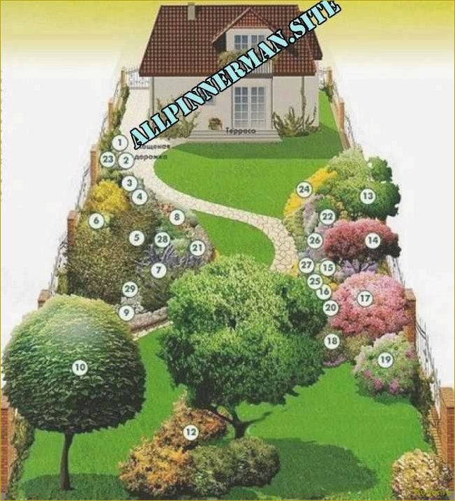 (украсить, участок, помощью, декоративной, яблони) Как украсить свой участок с помощью декоративной яблони Роялти