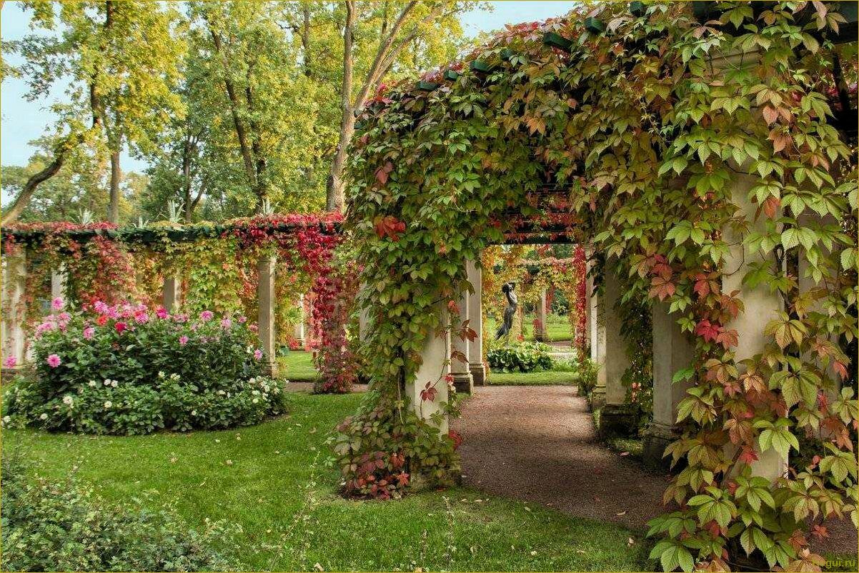 (украсить, участок, помощью, декоративной, яблони) Как украсить свой участок с помощью декоративной яблони Роялти