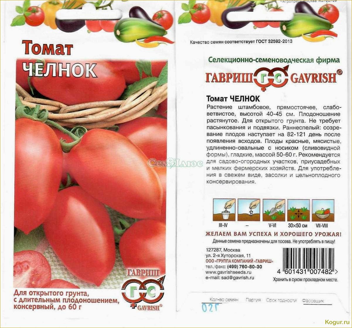 Как выращивать томаты сорта Челнок