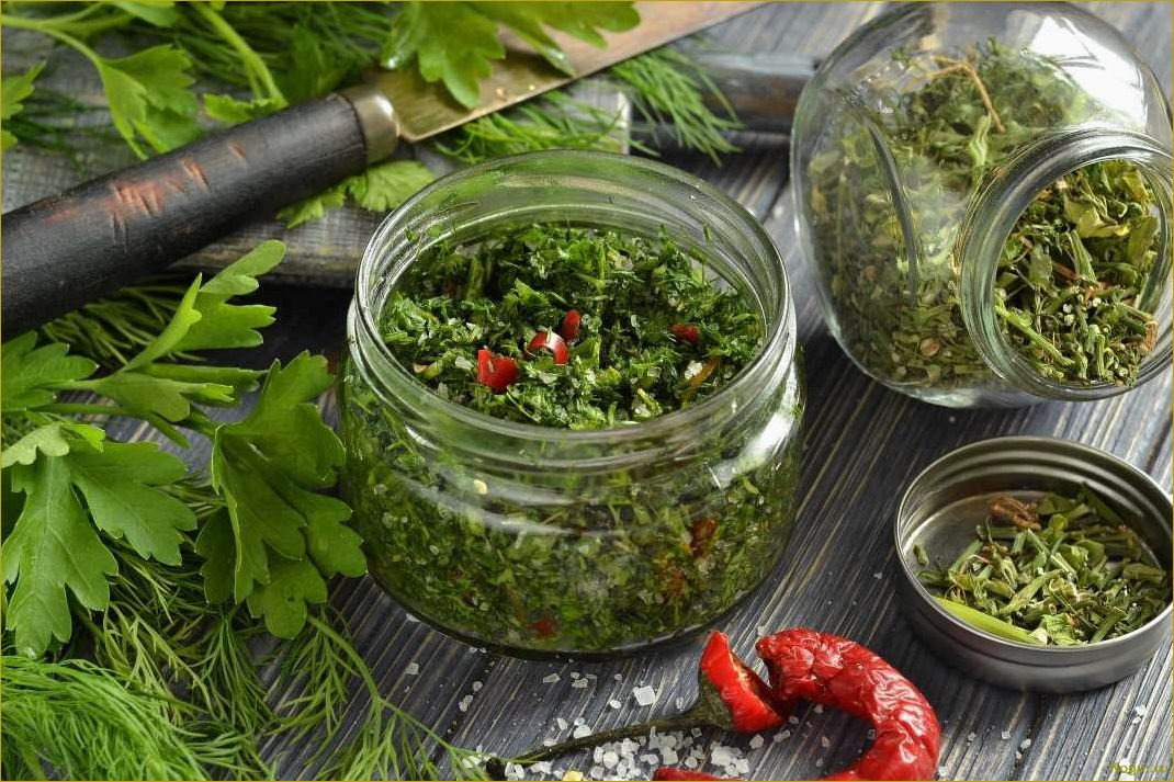 Как заготовить мяту на зиму