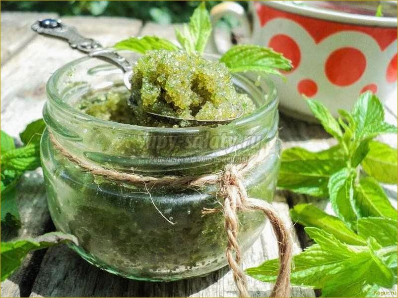 Как заготовить мяту на зиму